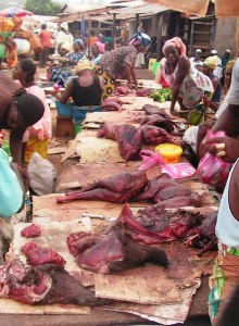 Commerce illégal de viande de brousse à Faranah