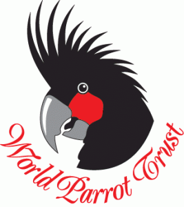 Fond mondial pour les perroquets